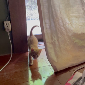 走るぜぇ〜の画像