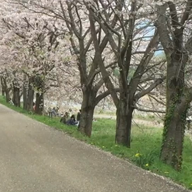 W650乗ってますの画像