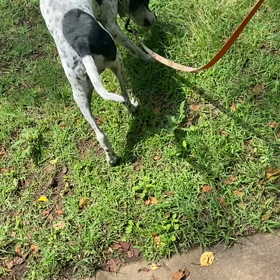ちょっとした刺激っ(*^^*)の画像