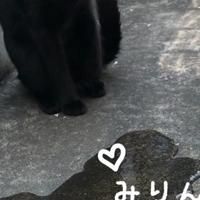 梅雨入りするとの画像