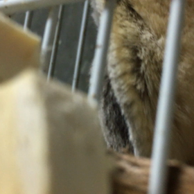 奇跡を2回もありがとうの画像