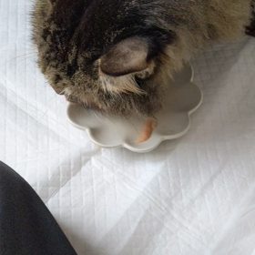 愛しい時間の画像