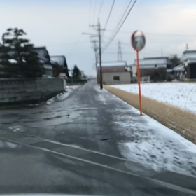 1/29雪融けました。みんな驚いてます。の画像