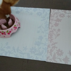 今朝の、食事の画像