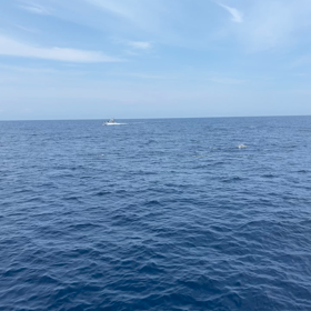 7/12 〜マグロボイル激しい〜の画像