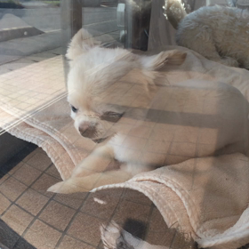 ⬛️7/19〜7/25＊酸素カプセルご利用のお友達⬛️の画像