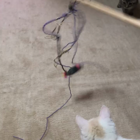 朝運動の後は朝ごはんの画像