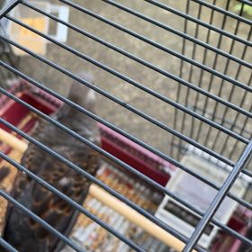 休日の楽しみ。　宮城光輝の画像