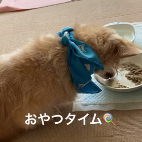 おやつタイムの画像