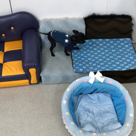 ♪プレイルーム動画♪②の画像