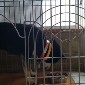 朝ごはんの画像