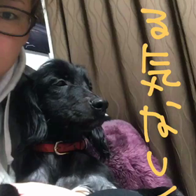 おーい！の画像