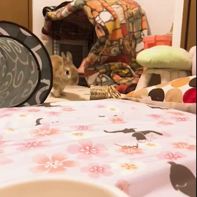 楽しいねの画像