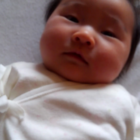 ちりこ動画の画像