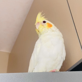 みんな聖なる愛なる存在の画像