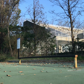 朝の横乗りその2  レールの画像