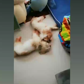 パズル o((*^▽^*))oの画像