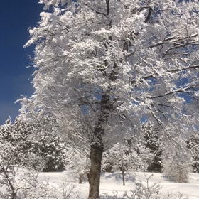 どうしてなのの画像