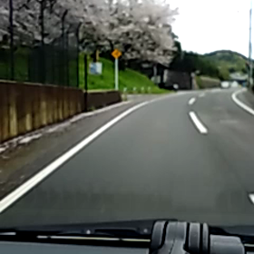 原上公園のサクラの画像