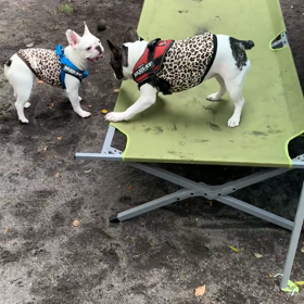 遂に〜！！！！の画像