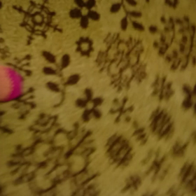 こえだちゃんで遊ぶ娘ムービーの画像