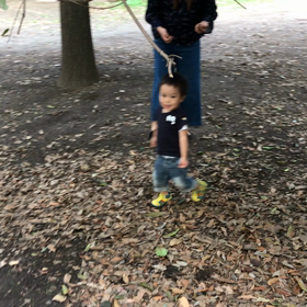 どんぐり拾いの画像