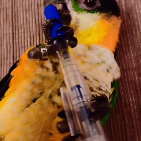 好きなもの。の画像