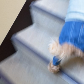 のののおうちチャレンジの画像