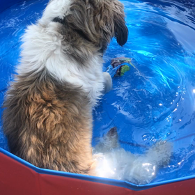 ディアペイシェント　第5話の画像