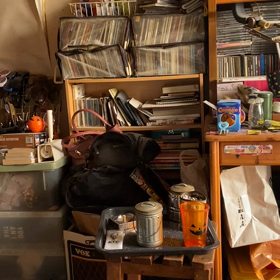 ルリロリ？の画像