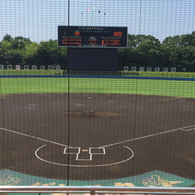 夏の主役の画像