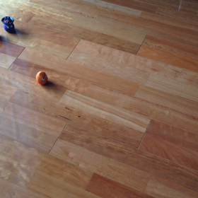 2015年6月23日の画像