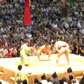 ニャンニャン日記、大相撲名古屋場所(^O^)／白鵬対千代翔馬⚡️✨‼️の画像