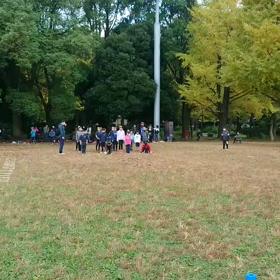 ダッシュ(黄色チーム)①の画像