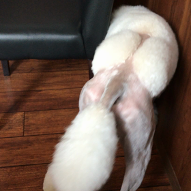 今日のモーニングは〜の画像