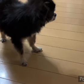 バックオーライの画像