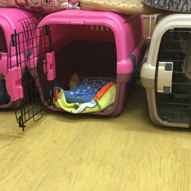 ま、入りゃいっか。の画像