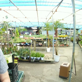 クリスマスはまさかの半○か？！の画像