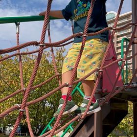 大好きな公園②の画像