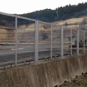 栃木馬鹿祭りの画像