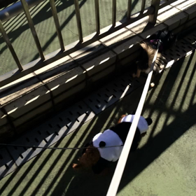 ありがとうございます☆の画像