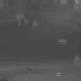 3頭の飼い主の散歩の画像