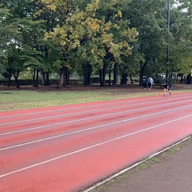 競技場練習⑰の画像