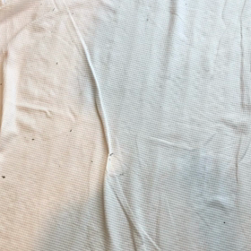 192日目 三者三様の画像