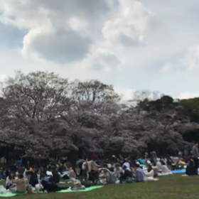 ♪お散歩動画♪代々木公園♪の画像