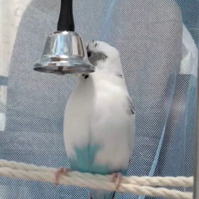 当選祈願の画像