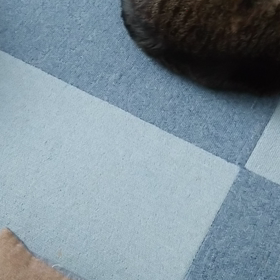 いきなりの…の画像