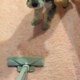 掃除機動画の画像