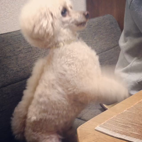 ちょうだい！ちょうだい！の画像