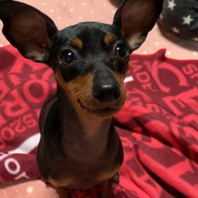 いちごびより。の画像